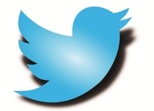 intro_twitter-logo