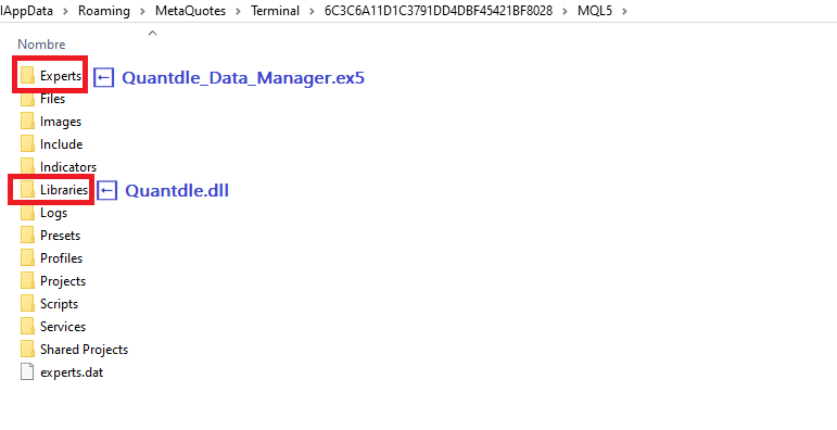 Copia Archivos Quantdle
