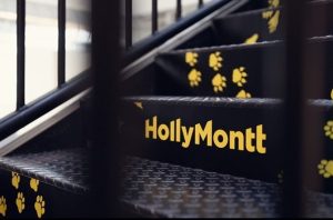 HollyMontt