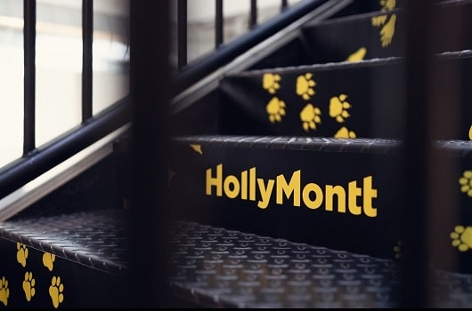 HollyMontt