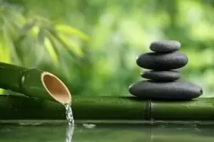 intro_zen