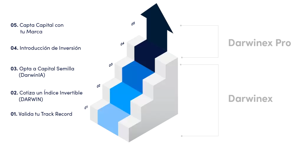El Proceso de Crecimiento en Darwinex 