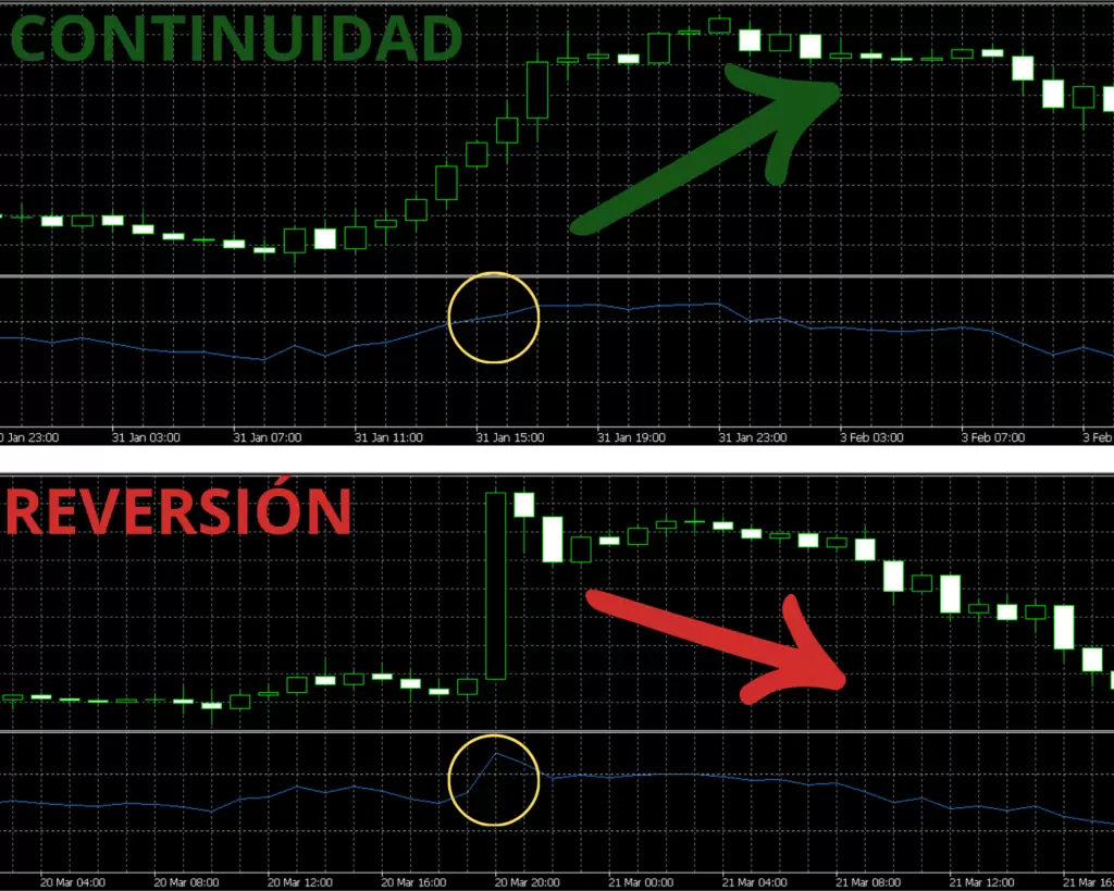 3. CONTINUIDAD VS REVERSIÓN