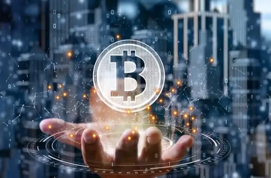 Adopcion Bitcoin