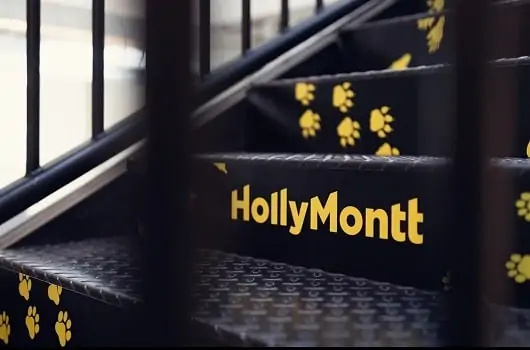 HollyMontt